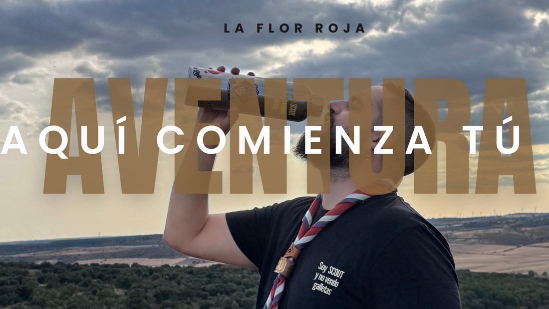 Guía para familias nuevas en los scouts: todo lo que debes saber al empezar 🌲✨